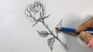 With its help, it will be easy for you to learn the drawing roses. How To Draw A Rose Step By Step Hihi Pencil Youtube