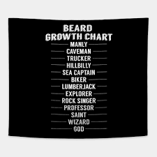 Beard Length Growth Chart Ruler Measurement Funny Gag