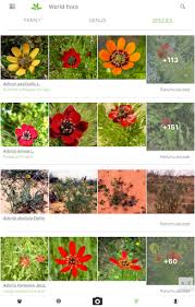 You can document all your plants into a database that allows you to journal about everything. Plantnet Plant Identification Apps On Google Play