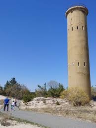 7 Amazing Reasons To Visit Cape Henlopen State Park Grass