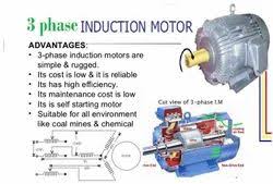 induction motor whole trader from