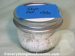 mushroom cake substrate jars