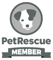 All our rescues are ready for adoption; New South Wales Nsw Rescue Directory Petrescue