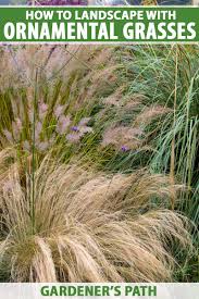 We did not find results for: Easy Landscaping With Ornamental Grasses Gardener S Path