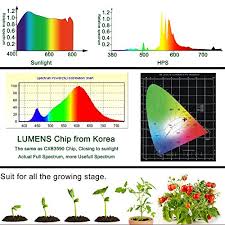 Best Cob Led Grow Lights Detailed And Helpful 2019 Review