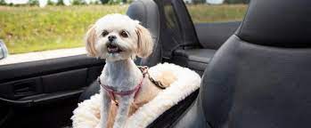Console Dog Car Seats Best Booster