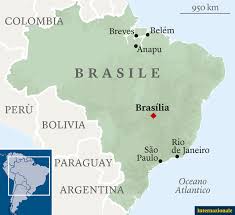 Brasil tiene una de las economías que más rápido crecen. I Brasiliani Chiedono Una Gestione Migliore Della Crisi Sanitaria Internazionale