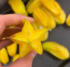 The closest IRL thing to a Paopu fruit. This is a Starfruit or Carambola :  r/KingdomHearts