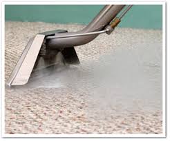 mansfield tx carpet cleaning green