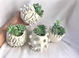 Buy White Ceramic Wall Planters Boho