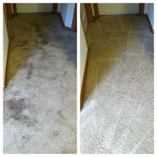 the 1 for carpet cleaning in spokane