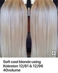 Gorgeous Wella Blonde Toner Glaze Color Formula For A Soft