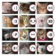 A Chart Cat Expressions Cats Funny Cats