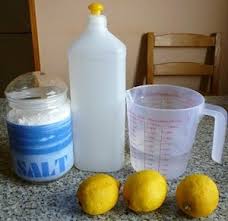lemon diy dishwashing liquid limoneira
