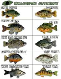 Good Sunfish Chart
