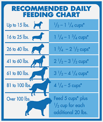 French Bulldog Feeding Chart Goldenacresdogs Com