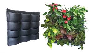 plants on walls easy affordable