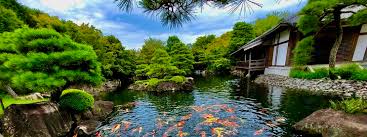 an gardens zen koi ponds travel