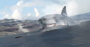 Image result for megashark