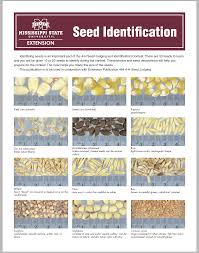 seed identification mississippi state