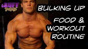 bulking up daily t and workout