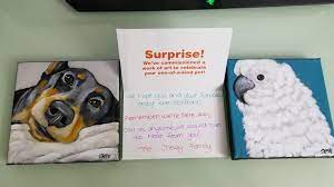 We did not find results for: Dog Food Company Chewy Sends Grieving Pet Owners Special Gifts Inspiremore