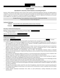 resume critique (audit) : resumes