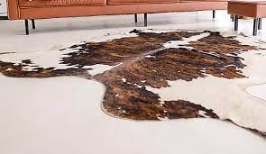 fine rug stain removal services in the
