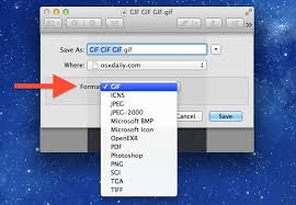 image formats in preview for mac os x