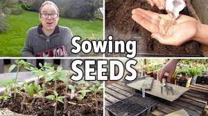 sowing seeds absolutely everything you