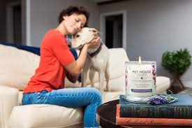 Like cheap dog odor eliminators, it doesn't spread heavy perfumes that overpower sensitive pet noses. One Fur All 100 Natural Soy Wax Candle 20 Fragrances Pet Odor Eliminator Walmart Com Walmart Com