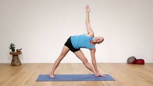 Yoga Style Guide Renegade Guru