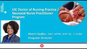 neonatal nurse pracioner college