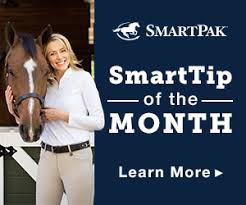 Smarttip Of The Month Presented By Smartpak Horse Illustrated