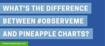 Whats The Difference Between Observeme And Pineapple