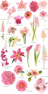 Filler flowers for wedding arrangements. Flower Names By Color Hayley S Wedding Tips 101