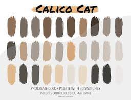 Procreate Color Palette Calico Cat