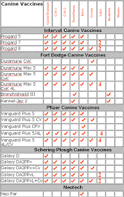 Dog Immunization Chart Goldenacresdogs Com