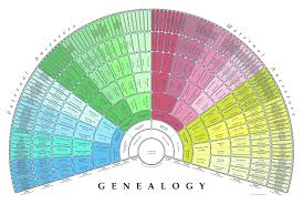 My Geneology Chart From Fan Charts Love Me Some Heritage