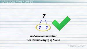 What Are Prime Numbers Definition Examples