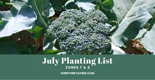 July Planting List Zones 7 8 Our