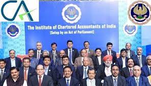 national chartered accountants ca day