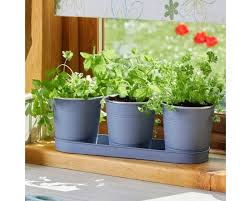Smart Garden Windowsill Herb Plant Pots