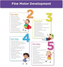 Fine Gross Motor Skills Development Checklist Age Level