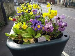 linthwaite in bloom pride in linthwaite