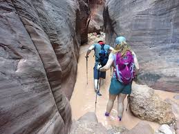 This one involved 3.5 miles so from wire through upper buckskin gulch. Binoculars In The Backcountry Wire Pass And Buckskin Gulch