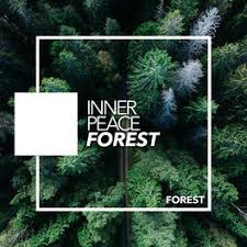 forest inner peace forest songtexte