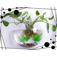 Qoo10 Home Decoration Water Plant Pot