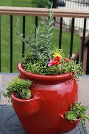 Succulent Perennial Strawberry Pot