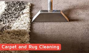 wow carpet cleaning southland region